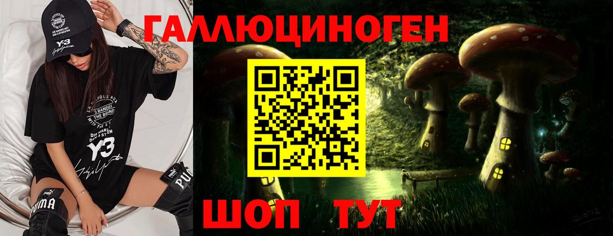 Галлюциногенные грибы мухоморы Нижнеудинск