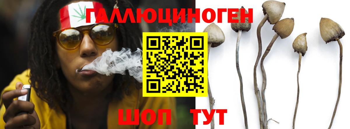 Галлюциногенные грибы Psilocybe  Вход с VPN  Галлюциногенные грибы ЛСД  купить наркоту  Нижнеудинск 